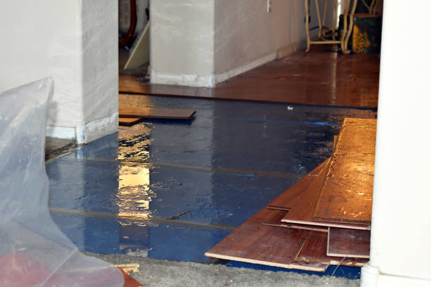 Professional Basement Flood Cleanup technician working in Sontag, MS